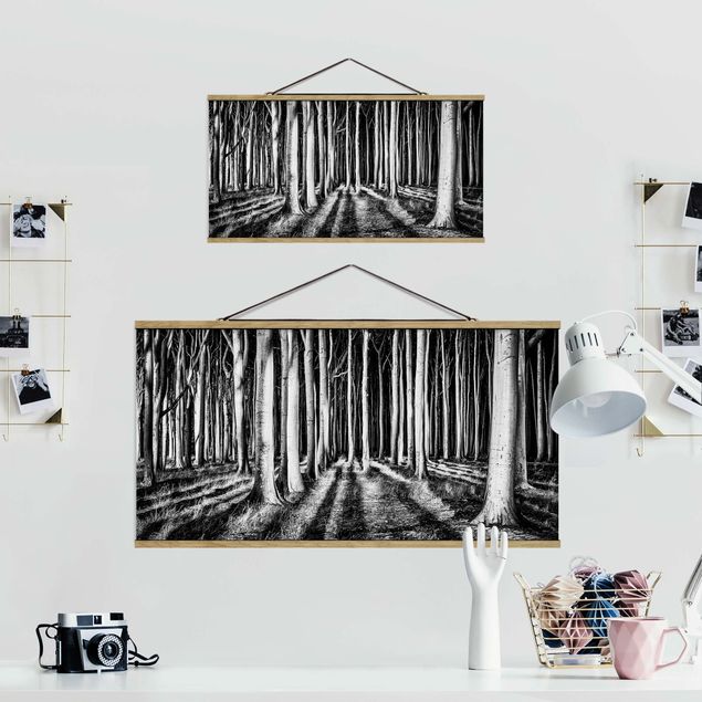 Billeder sort og hvid Spooky Forest