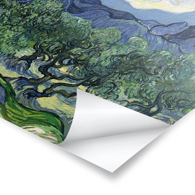 Billeder landskaber Vincent Van Gogh - Olive Trees