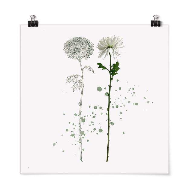 Plakater blomster Botanical Watercolour - Dandelion