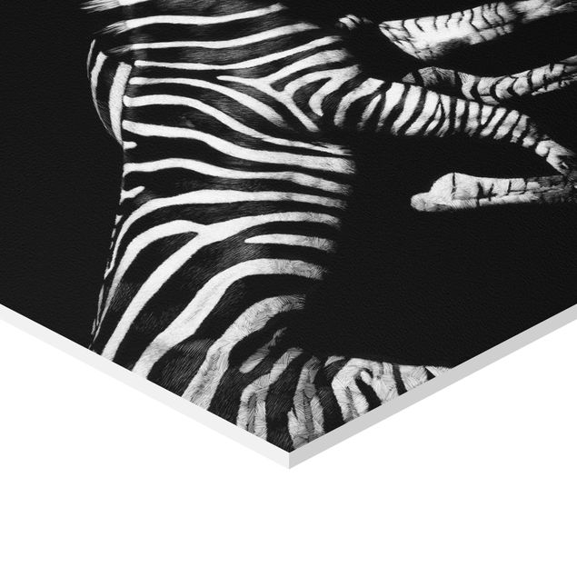 Sekskantede billeder Zebra In The Dark