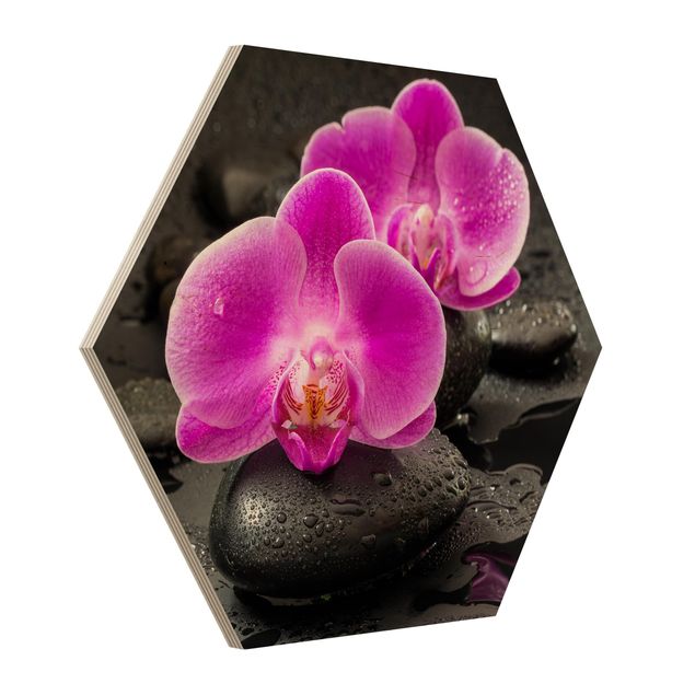Billeder blomster Pink Orchid Flowers On Stones With Drops