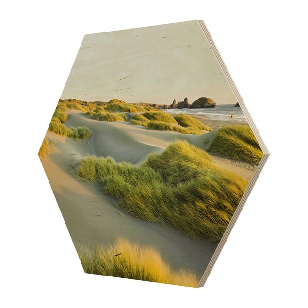 Billeder Dunes And Grasses At The Sea