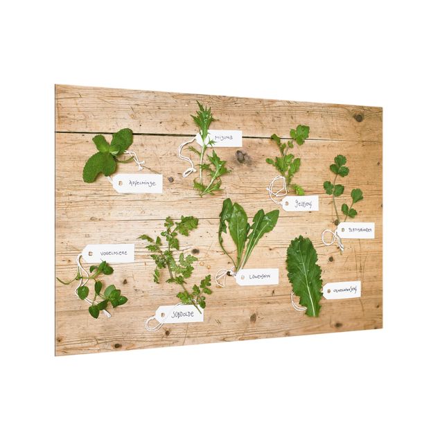 Stænkplader glas trælook Herbs With Labeling
