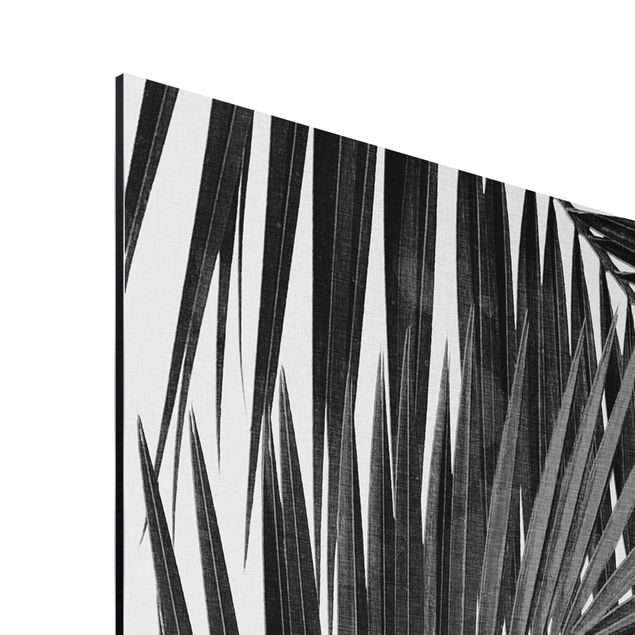 Billeder kunsttryk View Through Palm Leaves Black And White