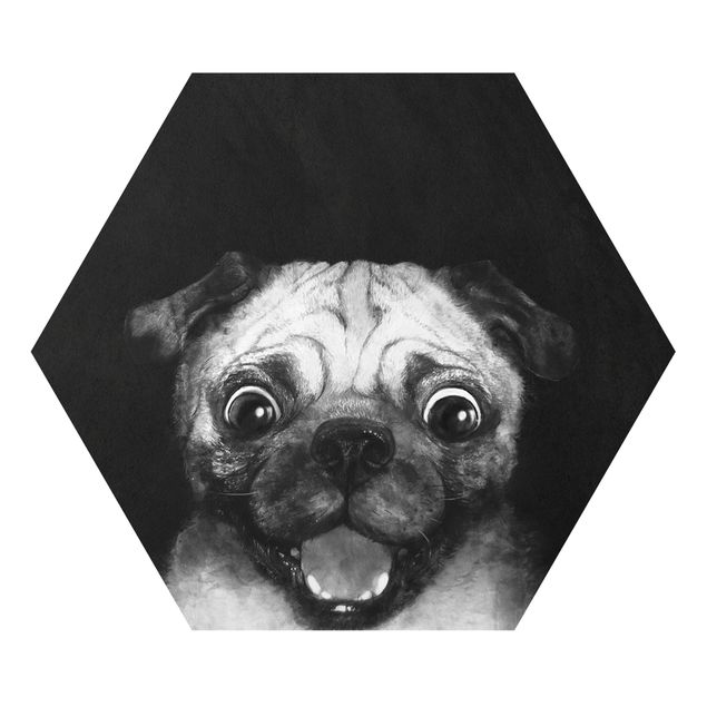 Billeder dyr Illustration Dog Pug Painting On Black And White