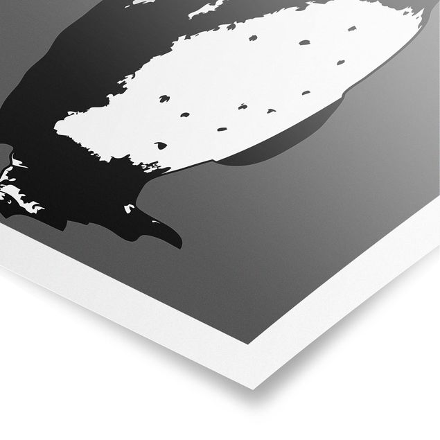 Billeder sort og hvid No.TA5 Penguin