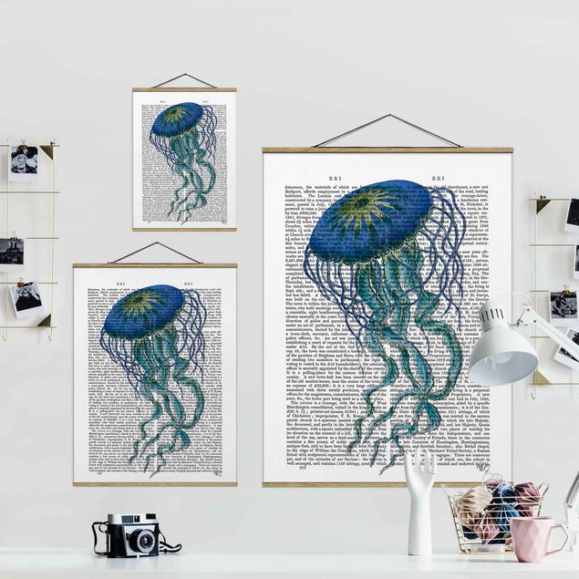 Billeder Animal Reading - Jellyfish