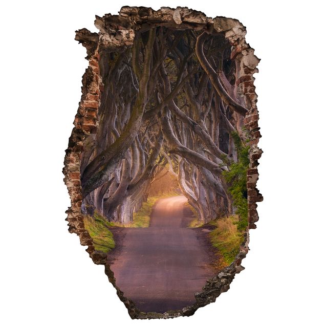 Wallstickers 3D Tunnel Of Trees
