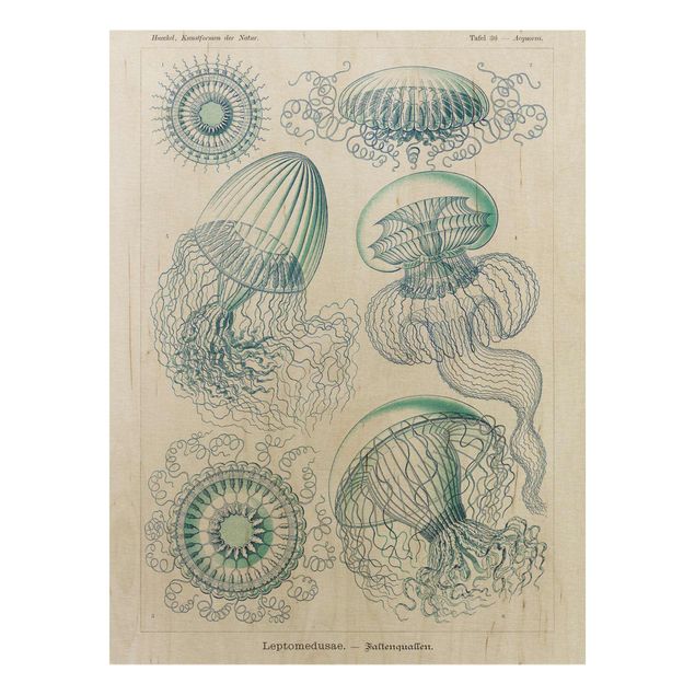 Prints på træ vintage Vintage Board Jellyfish In Blue