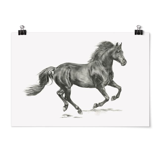 Plakater dyr Wild Horse Trial - Stallion