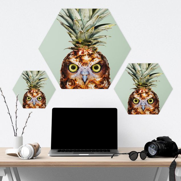 Sekskantede billeder Pineapple With Owl