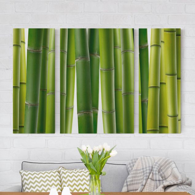 køkken dekorationer Bamboo Plants