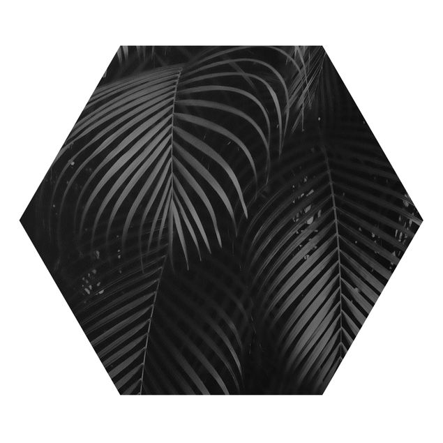 Forex Black Palm Fronds