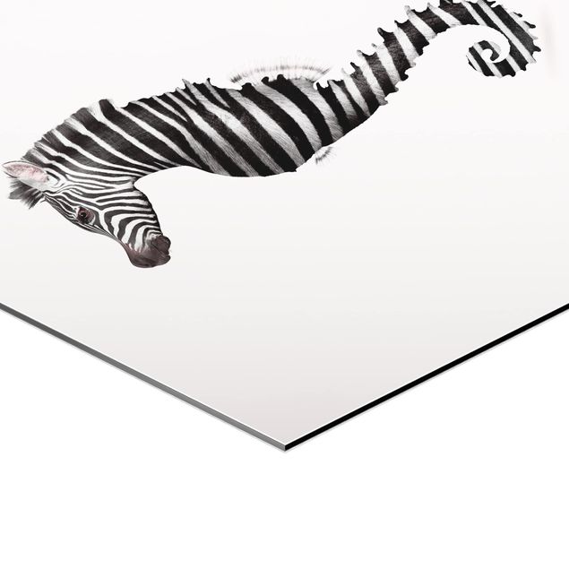 Billeder dyr Seahorse With Zebra Stripes