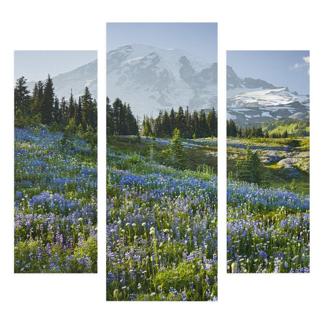 Billeder landskaber Mountain Meadow With Blue Flowers in Front of Mt. Rainier