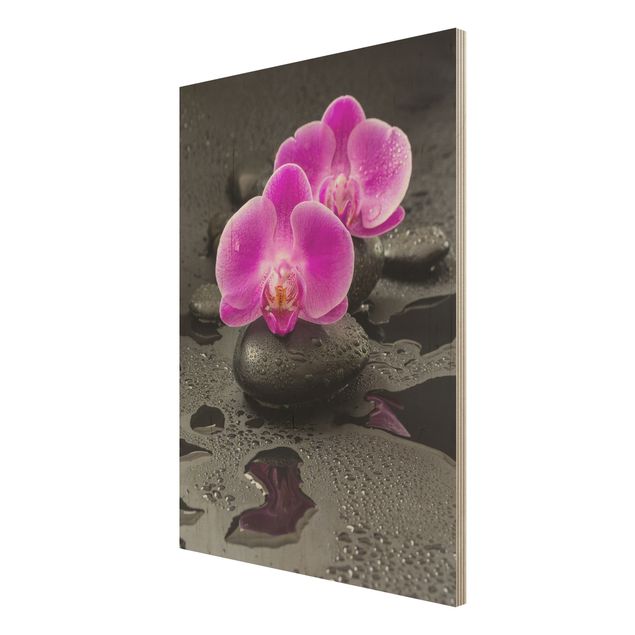 Billeder Uwe Merkel Pink Orchid Flower On Stones With Drops