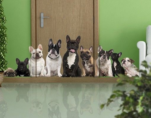 Wallstickers hunde No.644 Family Meeting