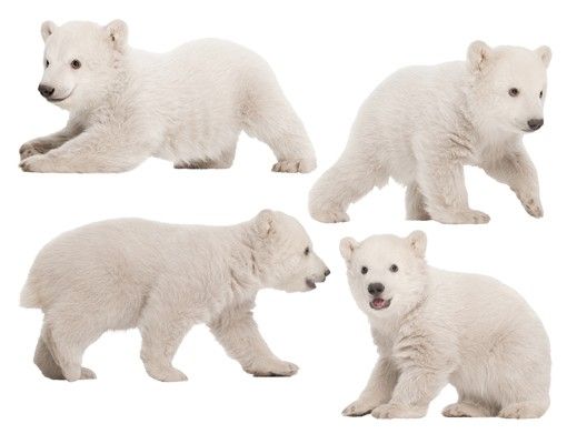 Børneværelse deco No.642 Polar Bear Brothers