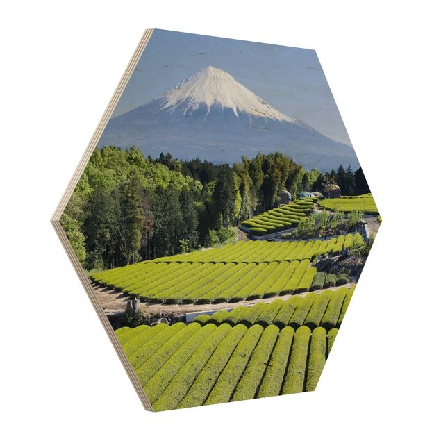 Sekskantede billeder Tea Fields In Front Of The Fuji
