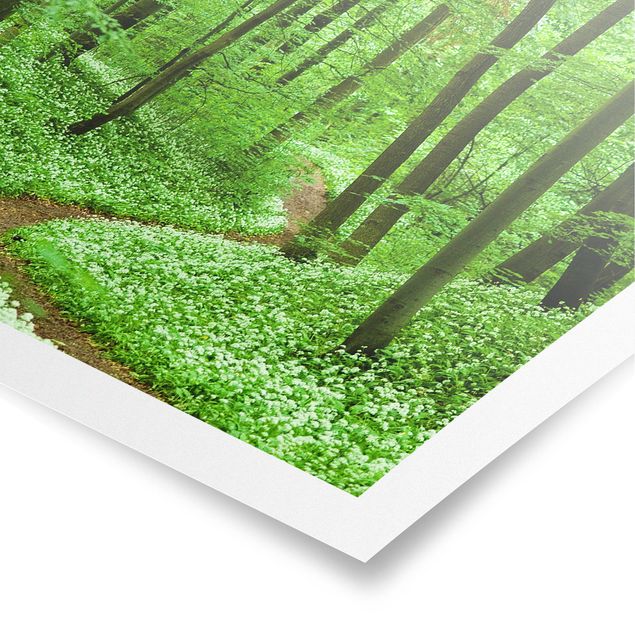 Plakater landskaber Romantic Forest Track