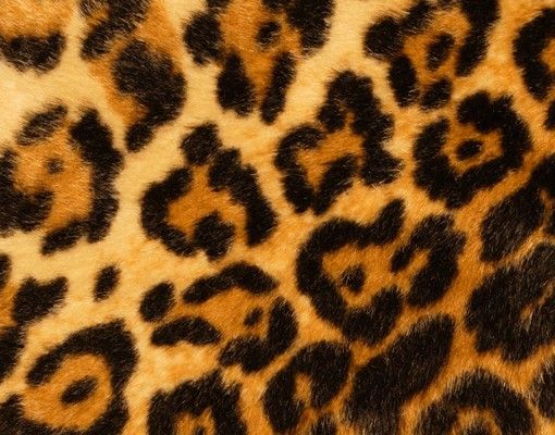 Postkasser gul Jaguar Skin