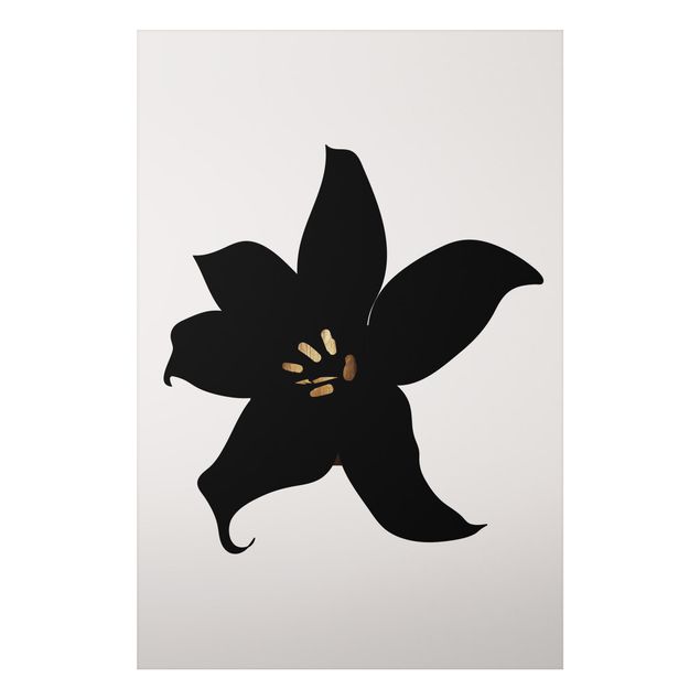 køkken dekorationer Graphical Plant World - Orchid Black And Gold