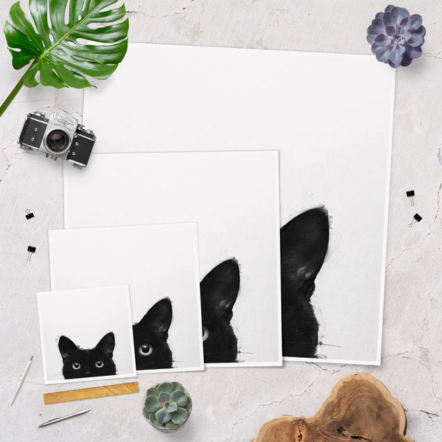 Billeder Laura Graves Art Illustration Black Cat On White Painting