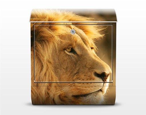 Postkasser brun King Lion