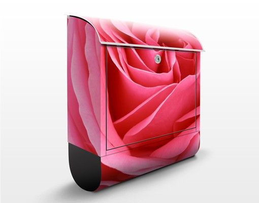 Postkasser blomster Lustful Pink Rose
