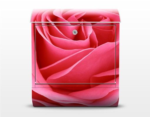Postkasser lyserød Lustful Pink Rose