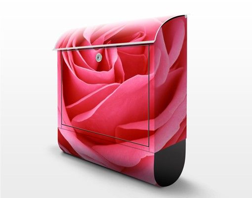 Postkasser Lustful Pink Rose