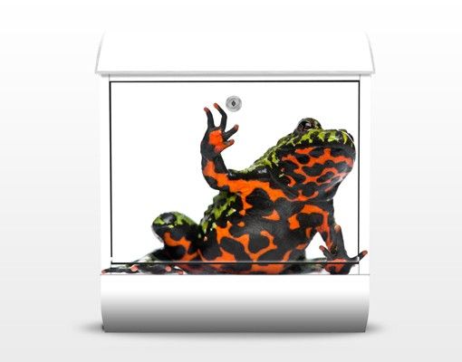 Postkasser rød Fire-bellied Toad