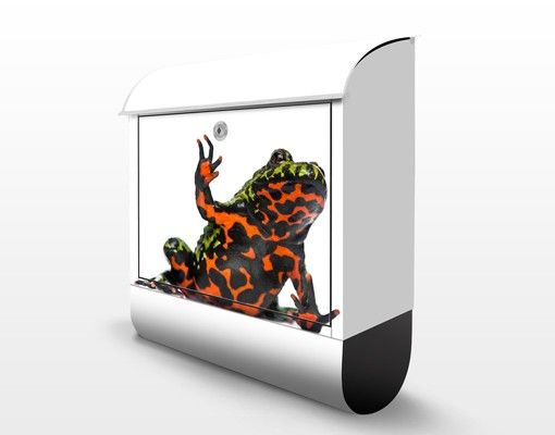 Postkasser Fire-bellied Toad