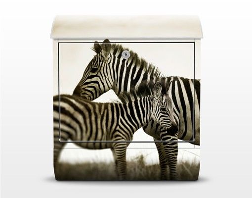Postkasser dyr Zebra Couple