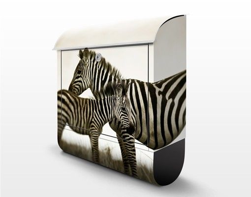 Postkasser Zebra Couple