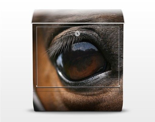 Postkasser brun Horse Eye