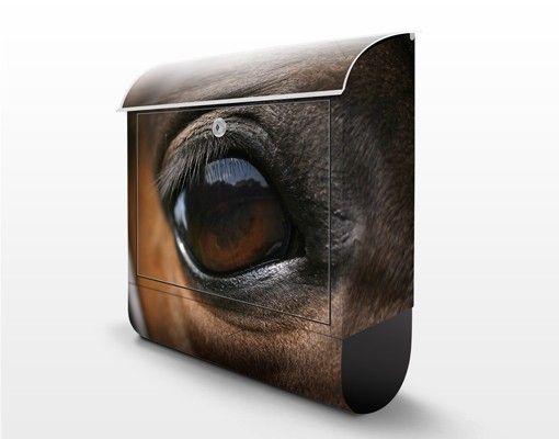 Postkasser Horse Eye