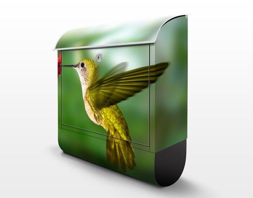 Postkasser grøn Hummingbird And Flower