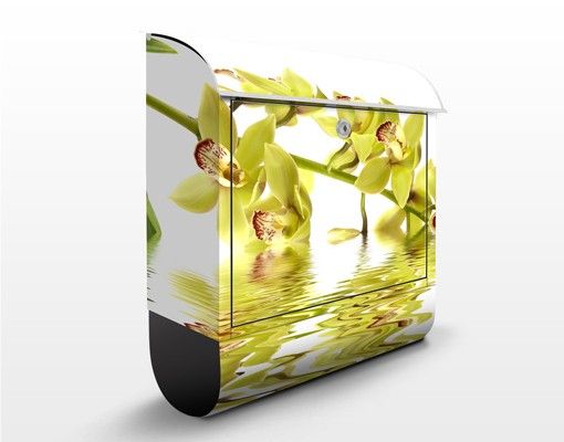 Postkasser blomster Elegant Orchid Waters