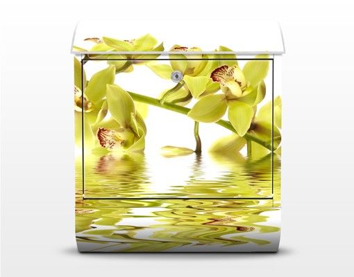 Postkasser gul Elegant Orchid Waters