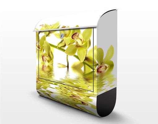 Postkasser hvid Elegant Orchid Waters