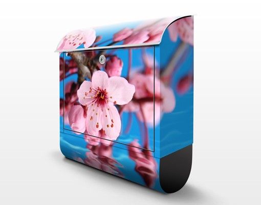 Postkasser Cherry Blossom