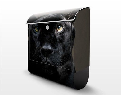 Postkasser Black Puma
