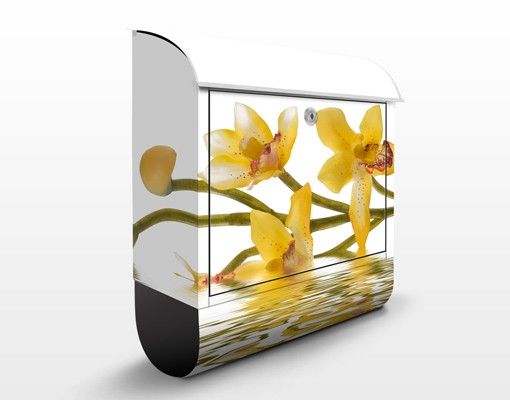 Postkasser blomster Saffron Orchid Waters