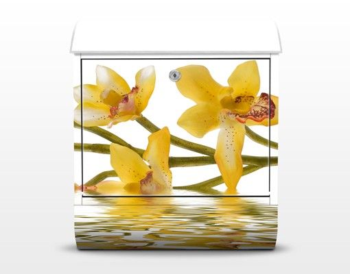 Postkasser gul Saffron Orchid Waters