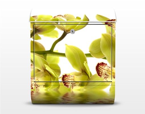 Postkasser Splendid Orchid Waters