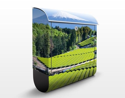 Postkasser landskaber Tea Fields In Front Of The Fuji