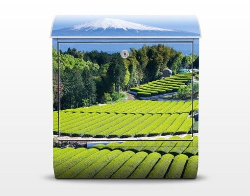 Postkasser grøn Tea Fields In Front Of The Fuji