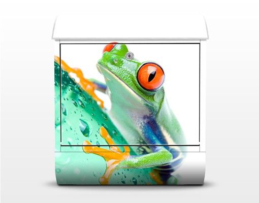 Postkasser Frog