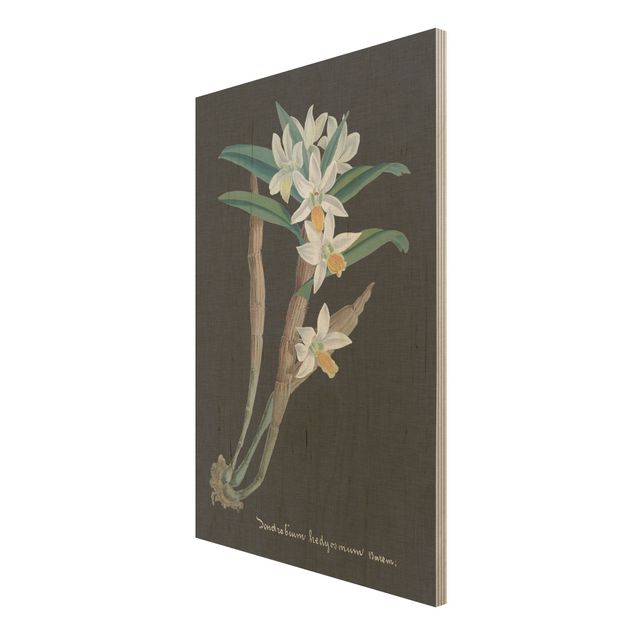 Prints på træ vintage White Orchid On Linen I